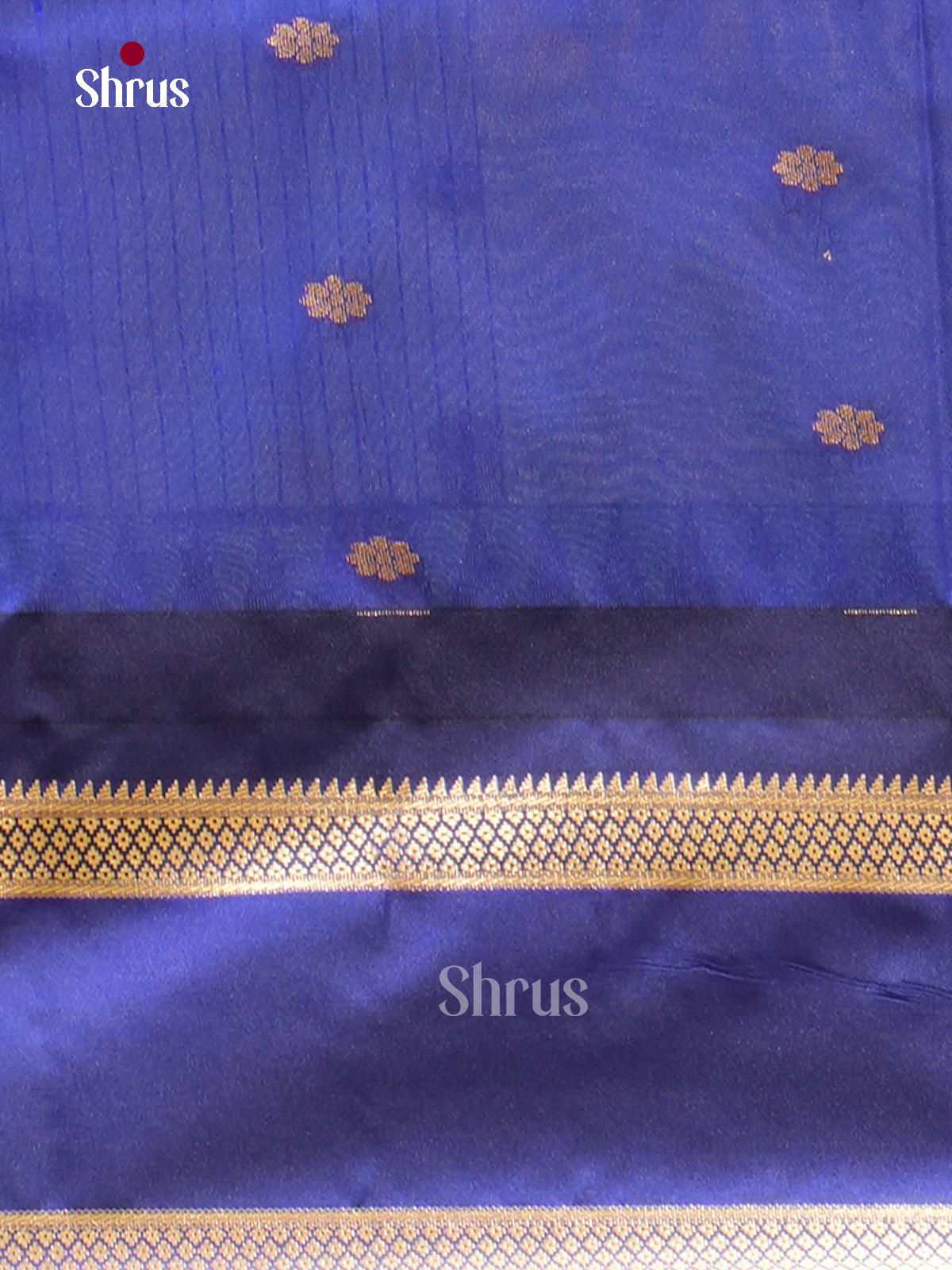 Kanchipuram-halfpure-DGS18059