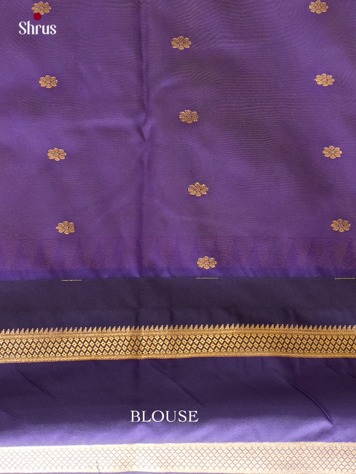 Kanchipuram-halfpure-DGS18064