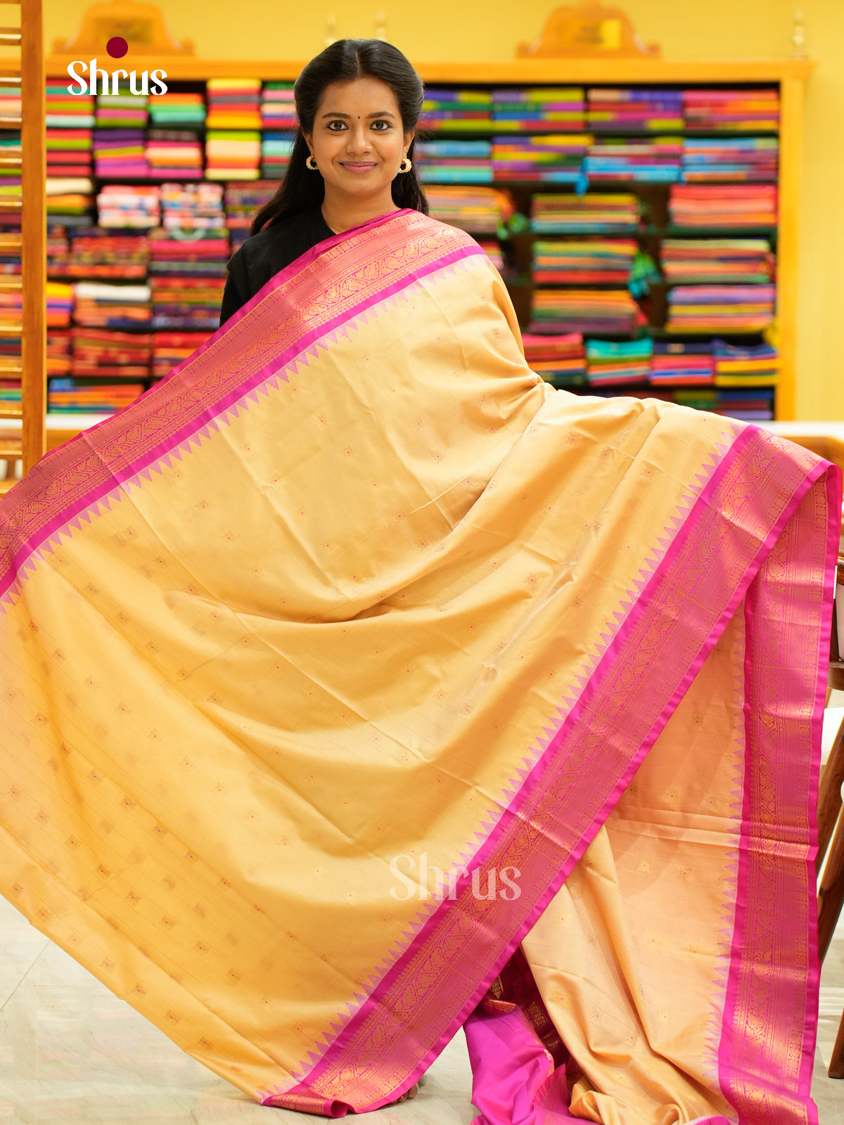 Kanchipuram-halfpure-DGS18077