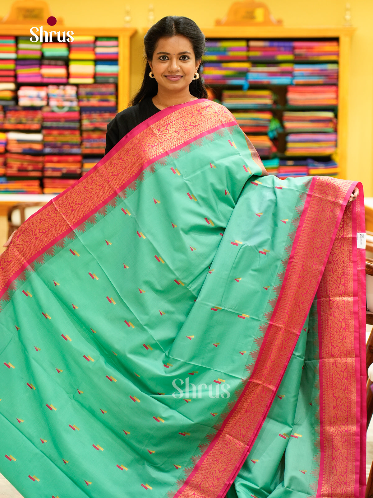 Kanchipuram-halfpure-DGS18079