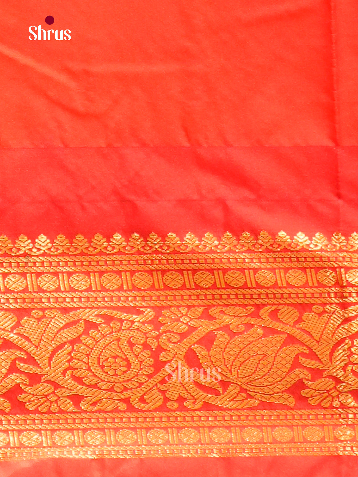 Kanchipuram-halfpure-DGS18093