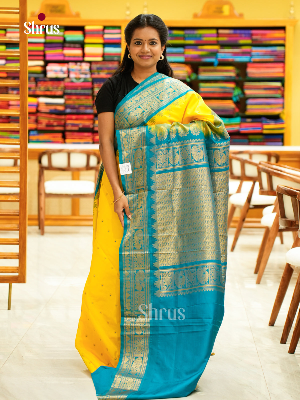 Kanchipuram-halfpure-DGS18101