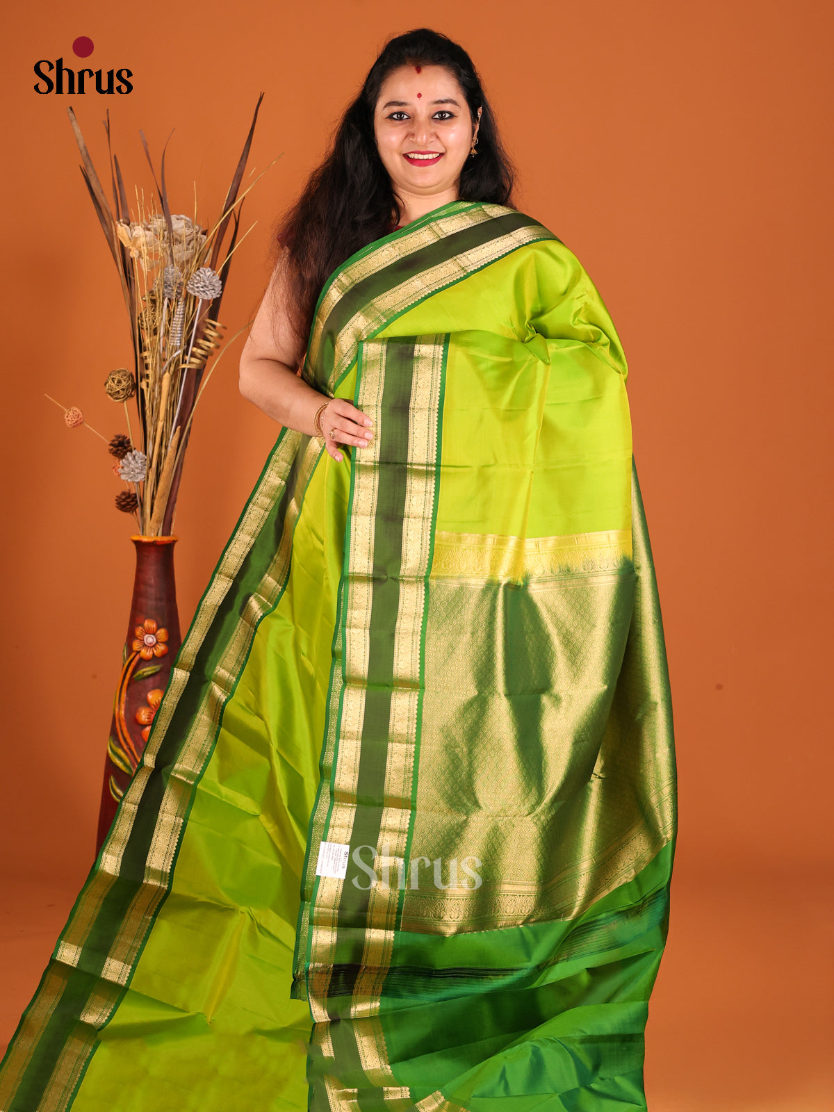 Light Green & Green Kanchipuram silk  Saree with rettaipet zari border-1