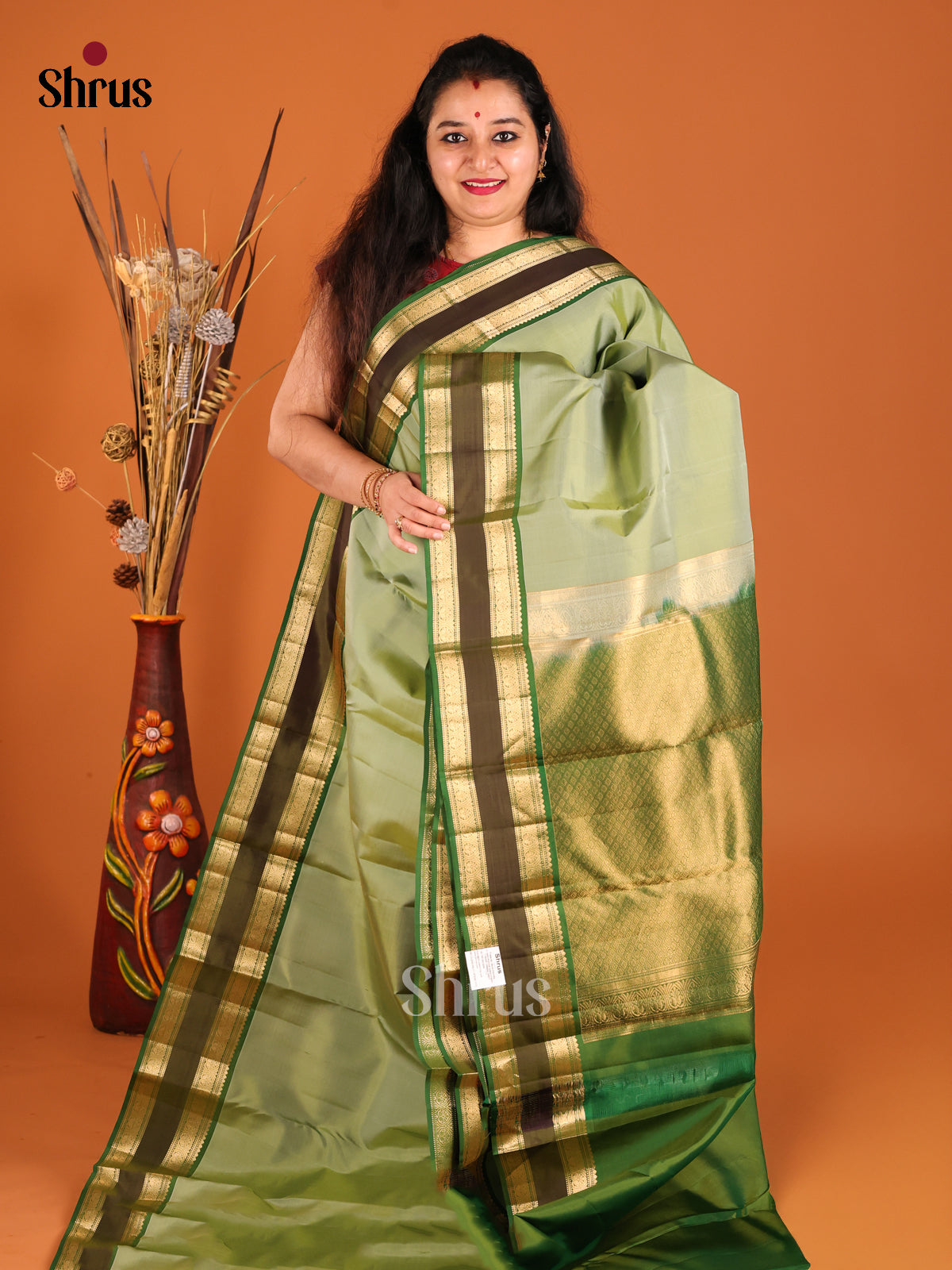 Pastel Green & Green Kanchipuram silk  Saree with rettaipet zari border - Shop on Shrus.com