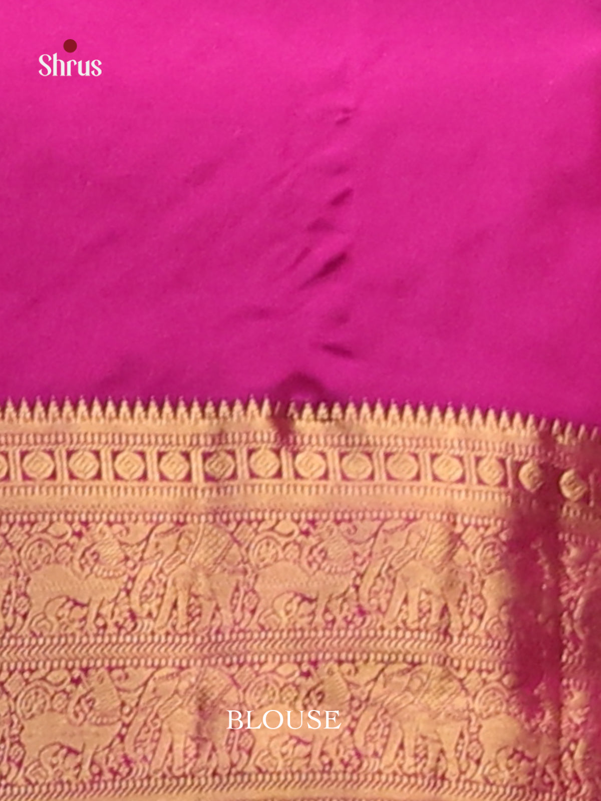 DGS19426 - Kanchipuram silk (HR) Saree-3