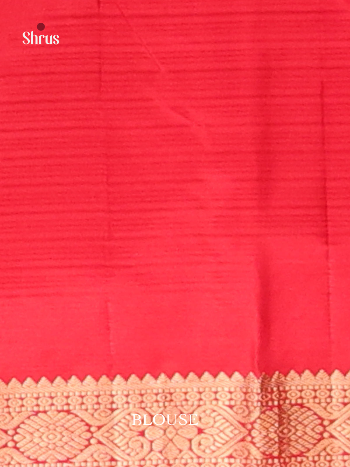 Radiant Orange Kanchipuram silk  Saree gleams with gold zari floral buttas-3
