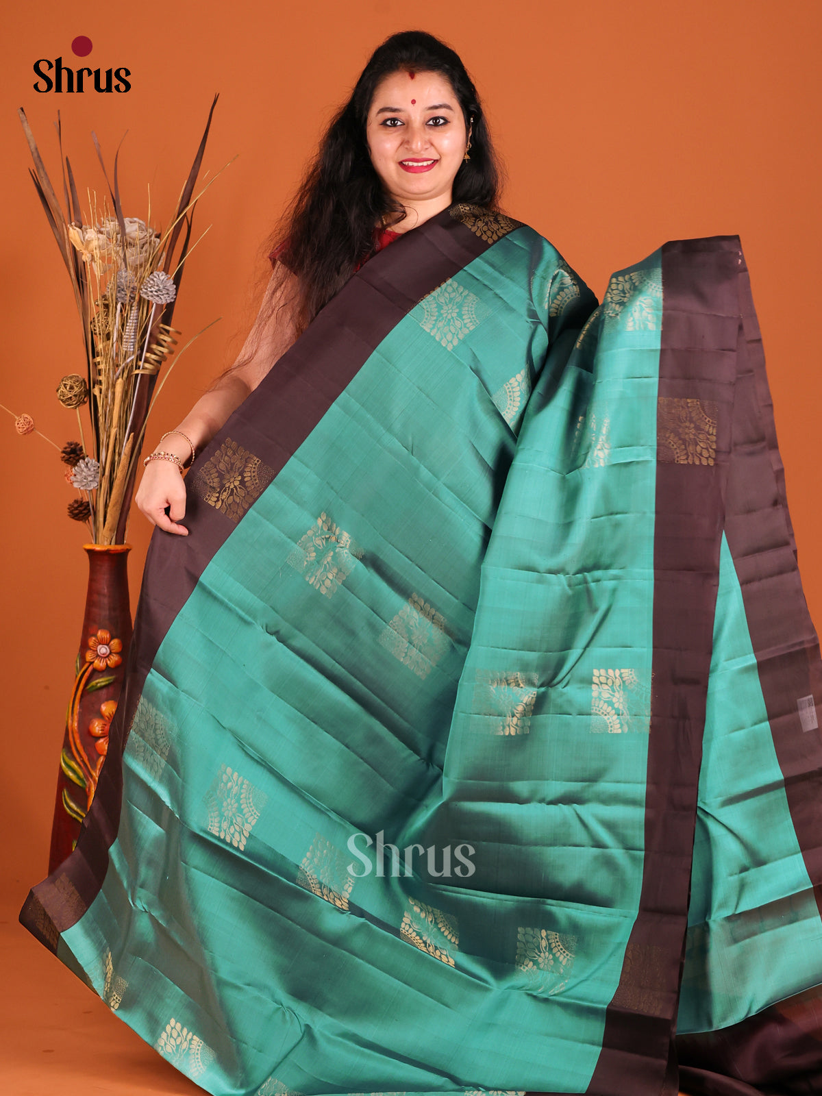 Green & Brown Softsilk-halfpure Saree  with zari floral block motifs - Shop on Shrus.com