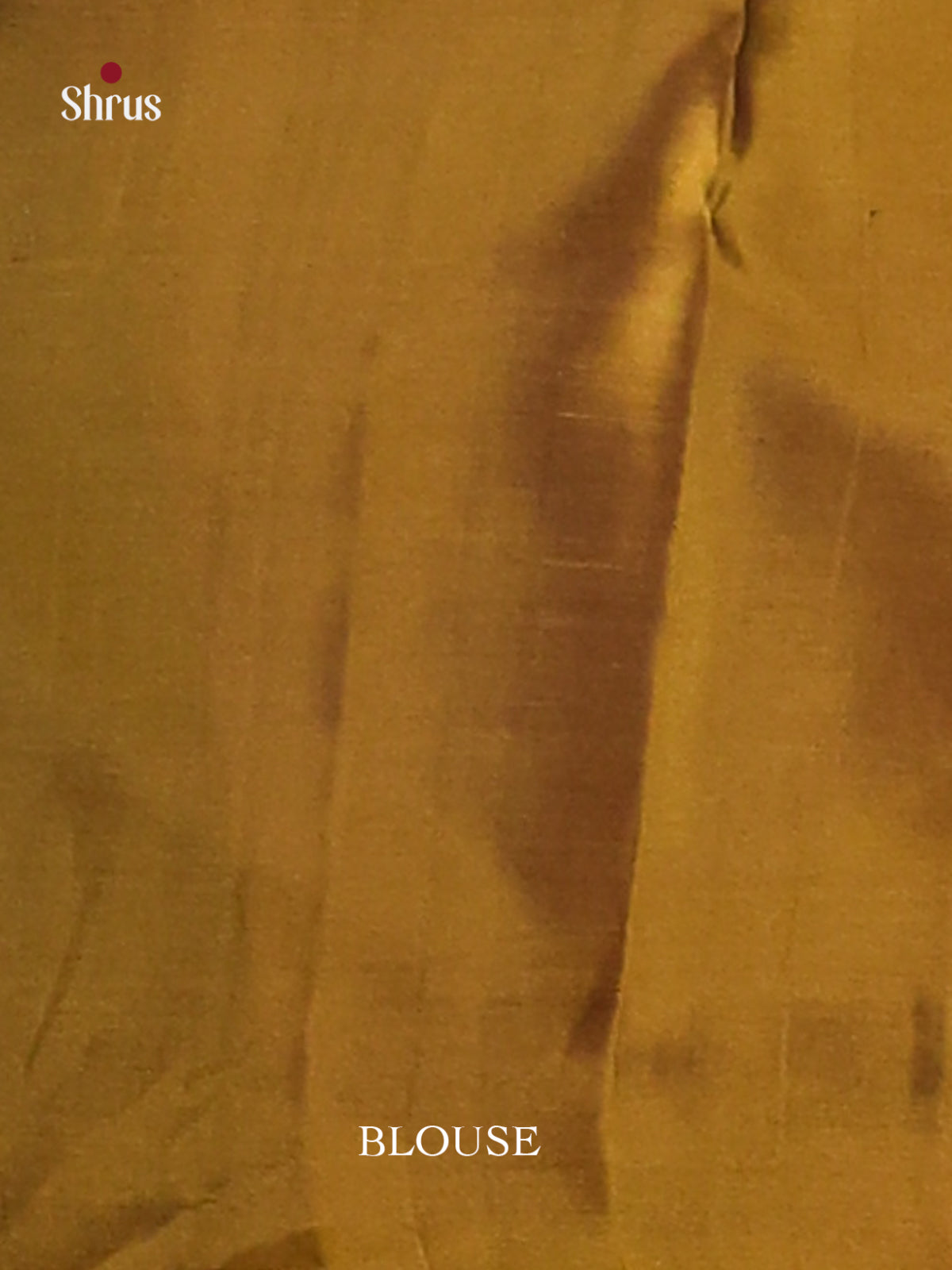 Green & Mehandi  Softsilk-halfpure Saree with zari floral motifs - Shop on Shrus.com