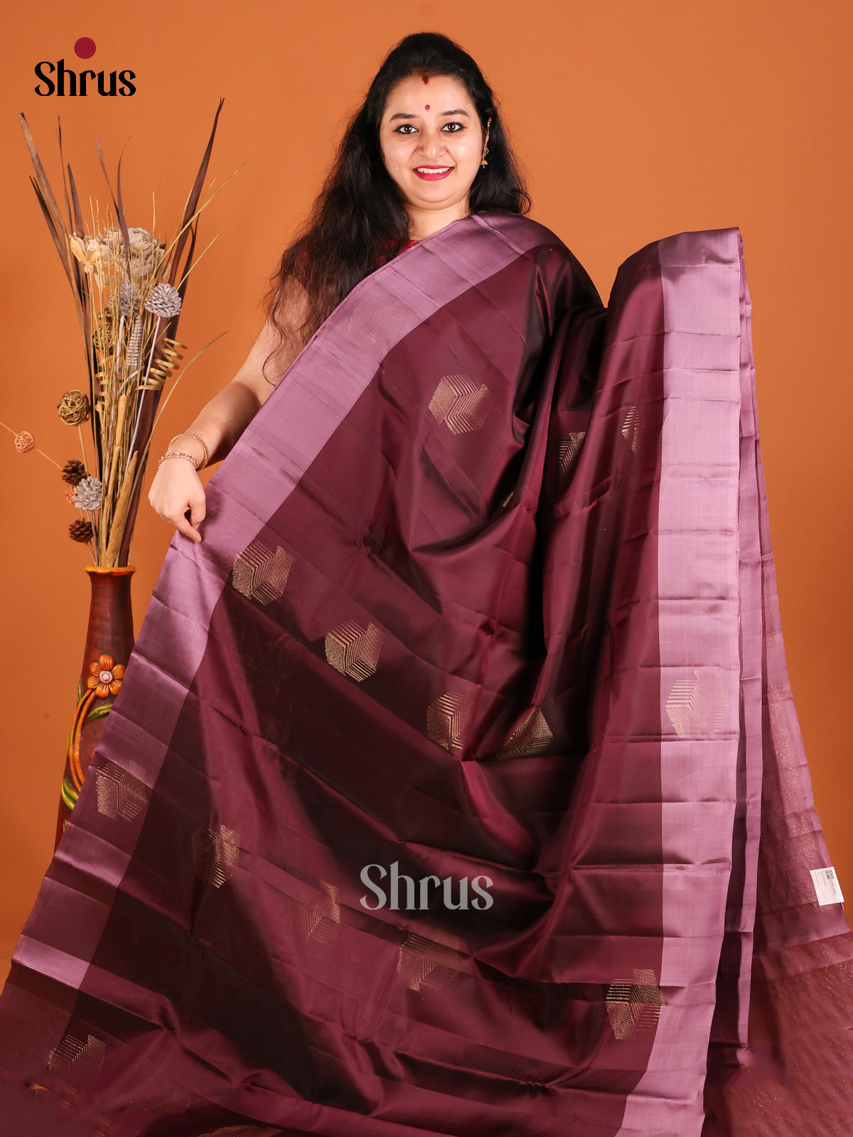 Brown & Lavender  Softsilk-halfpure Saree with zari motifs