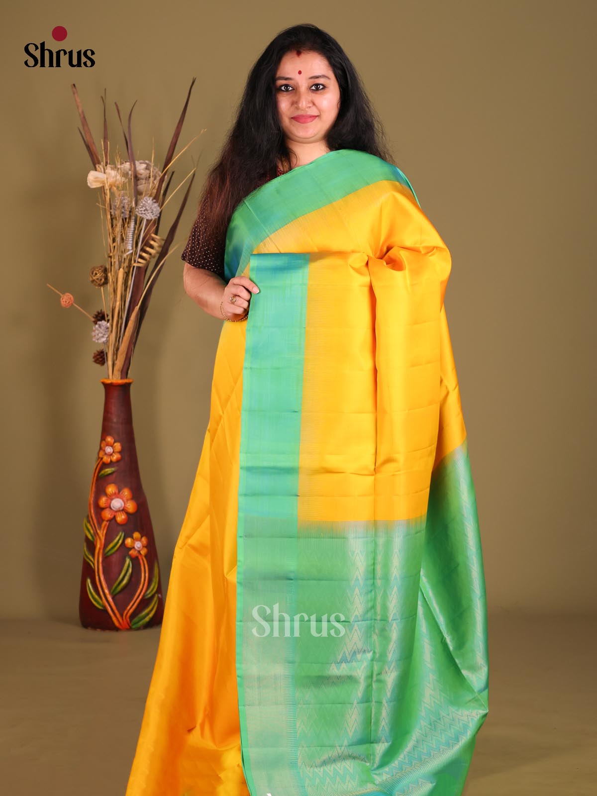 DGS25095 - Soft Silk (HR) Saree - Shop on Shrus.com