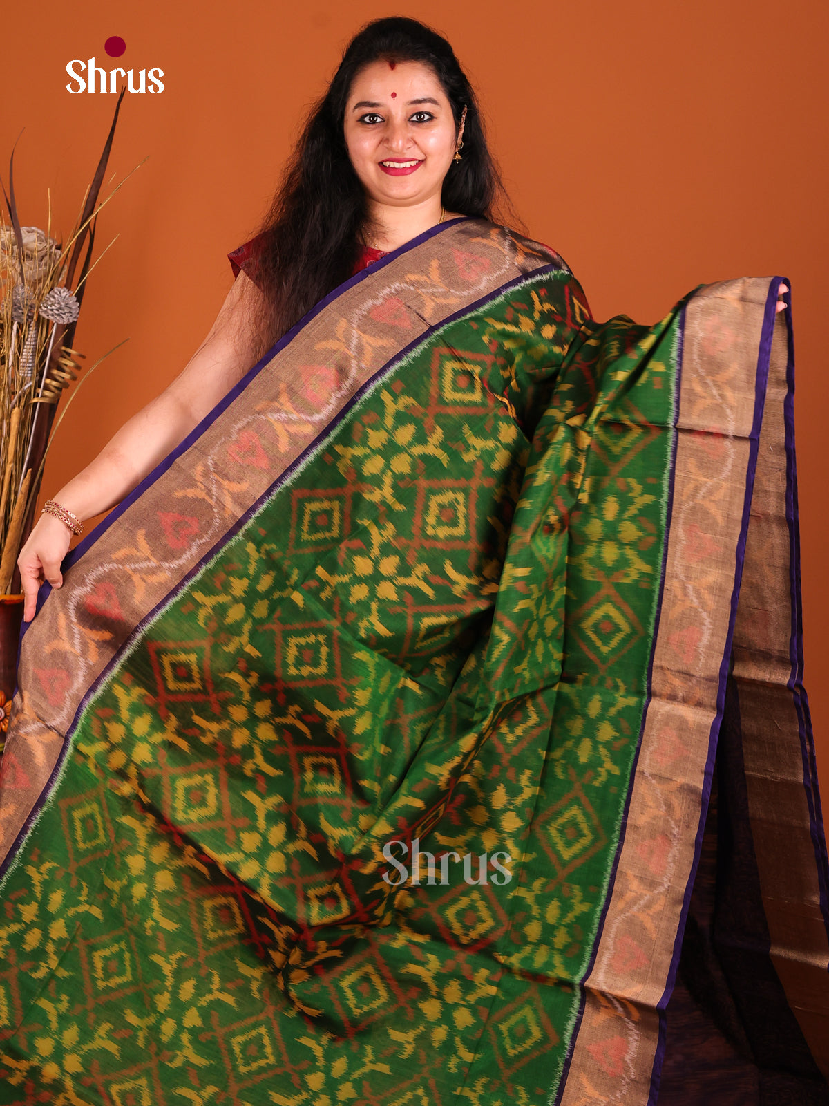 Green & Violet  - Pochampally sico Saree - Shop on Shrus.com