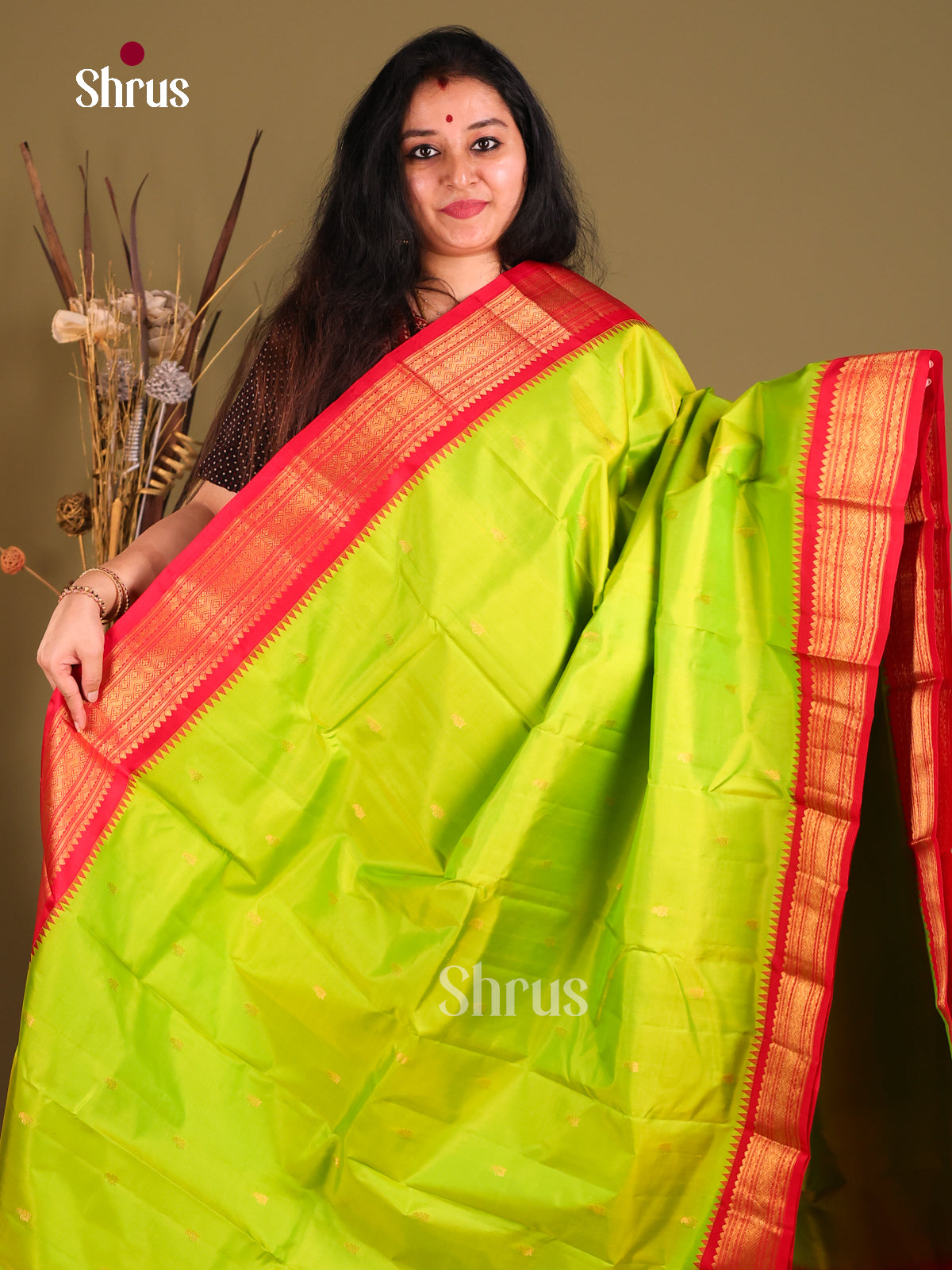 DGS25531 - Gadwal silk Saree - Shop on Shrus.com