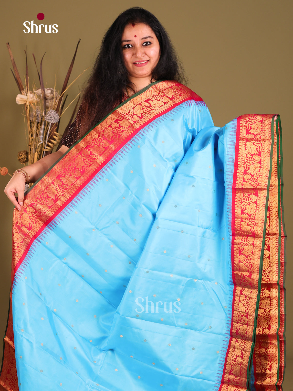 Pastel Blue & Red Gadwal silk Saree with rich zari border-1