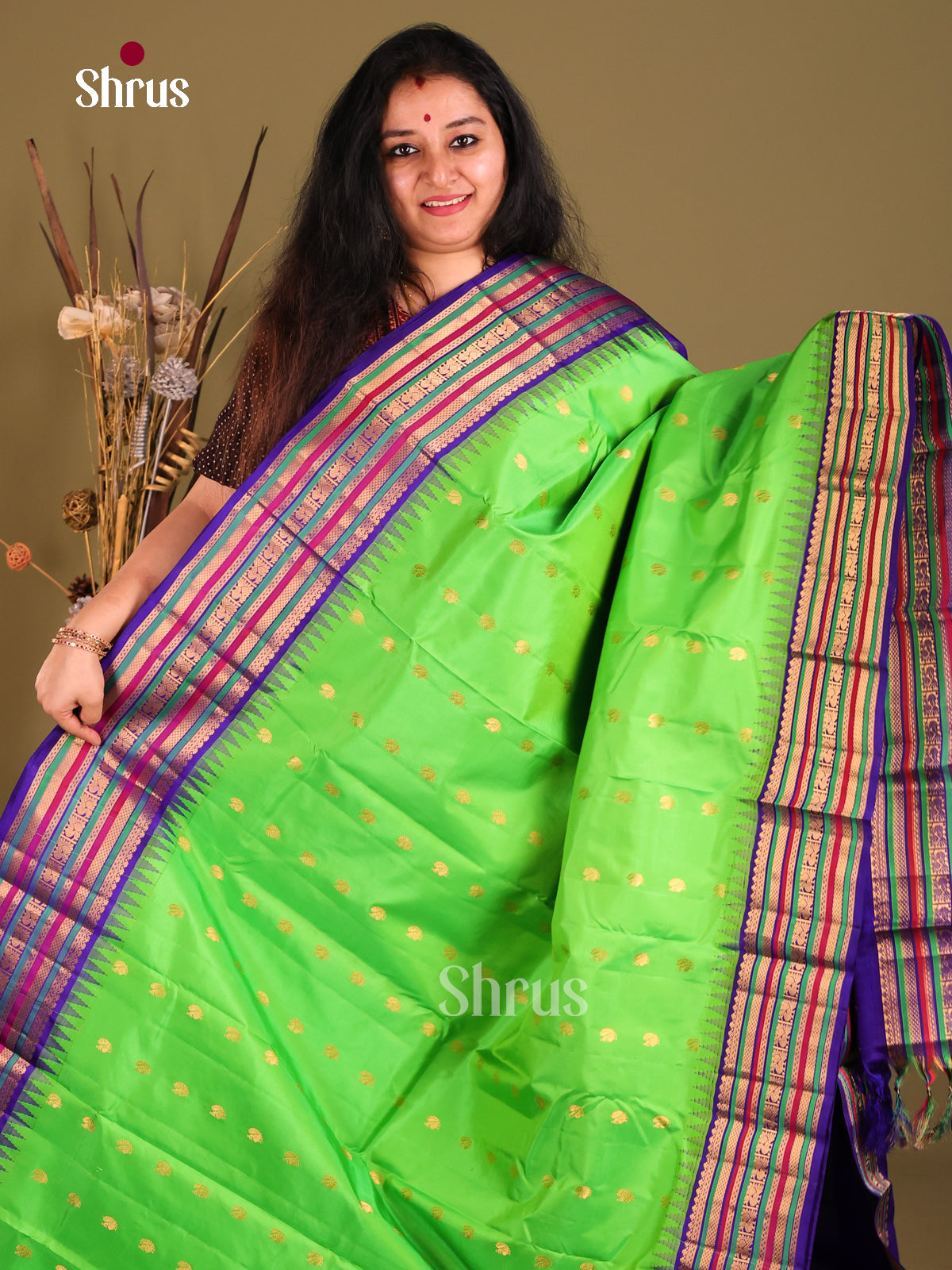 Elegant Light Green Gadwal silk Saree with Blue zari Woven border & Brocade Pallu-1