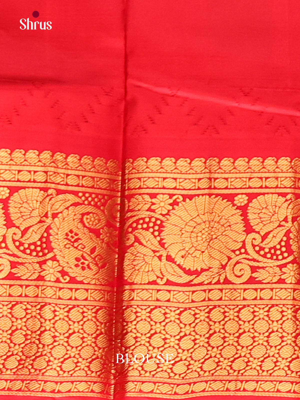 Blue Gadwal silk Saree with Subtle checks, Gold Buttas & Red zari Woven floral vines border-2