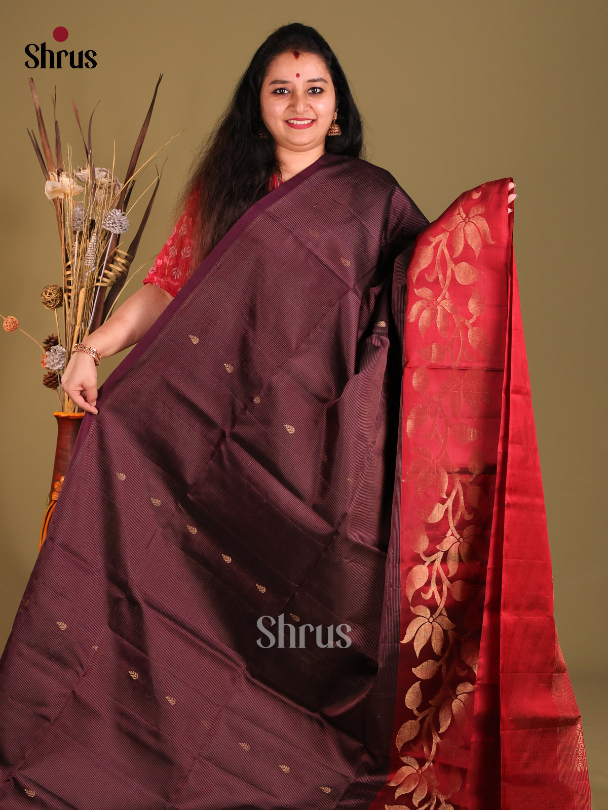 Jamun & Red Soft Silk Saree with zari stripes, buttas-2
