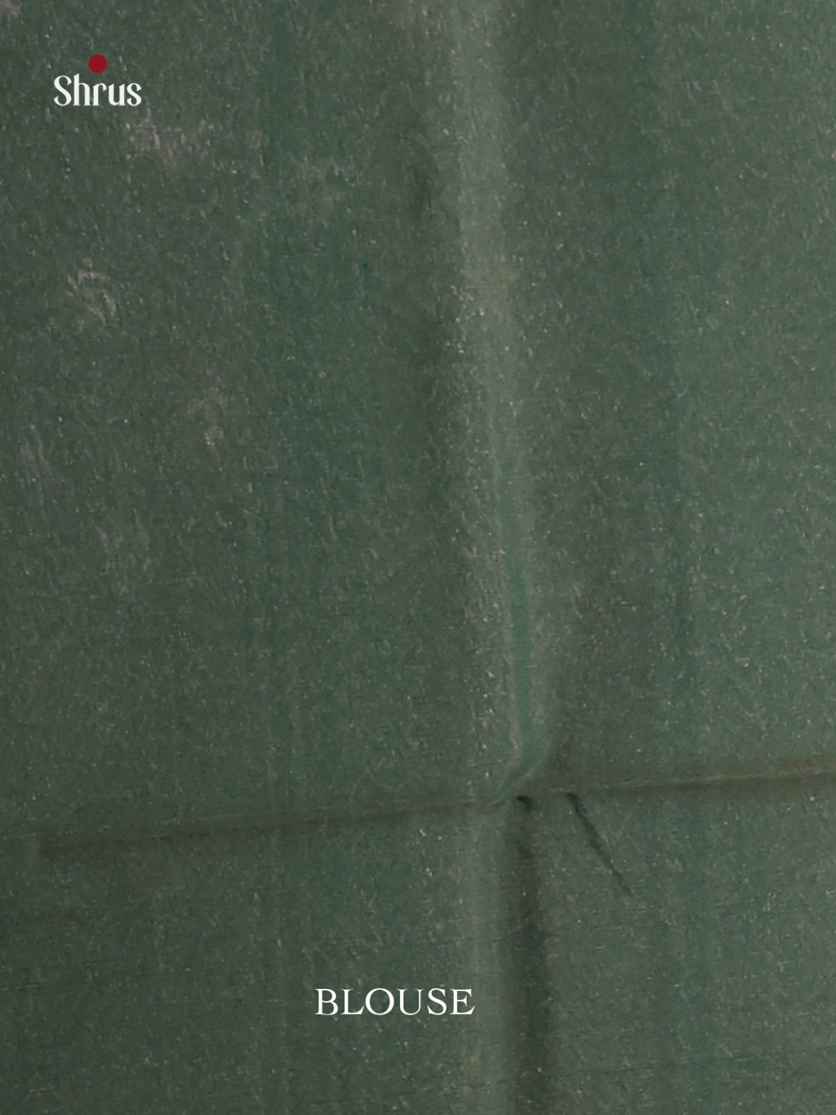 Pastel green - Semi Silkcotton Saree - Shop on Shrus.com