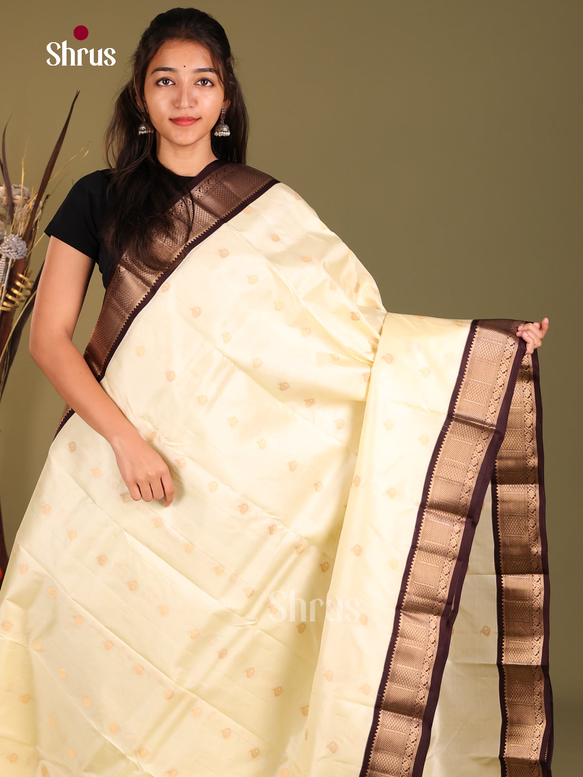 DHS07165 - Kanchipuram Korvai  Saree - Shop on Shrus.com