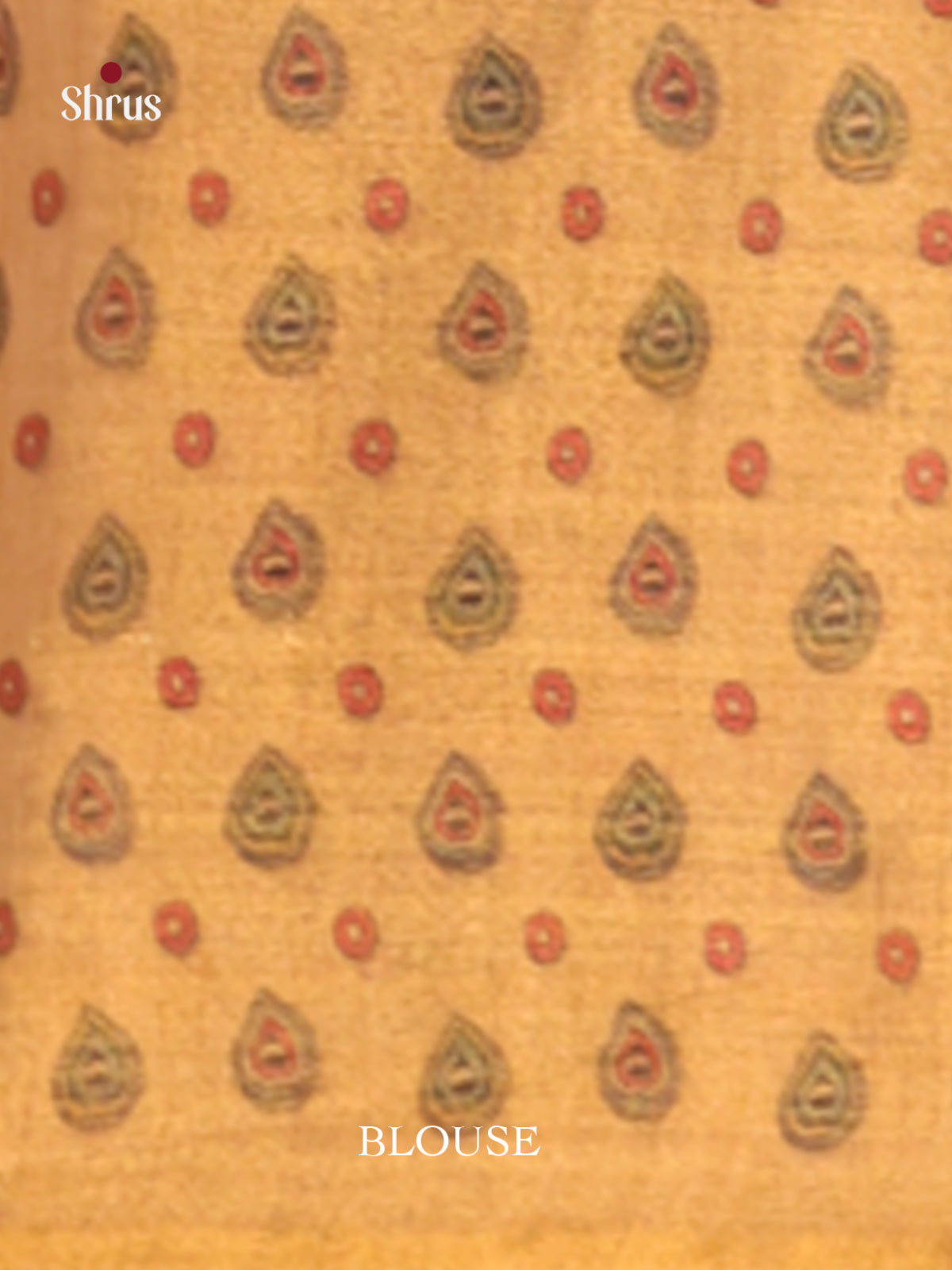 DHS10124 - Semi Tissue Print Saree