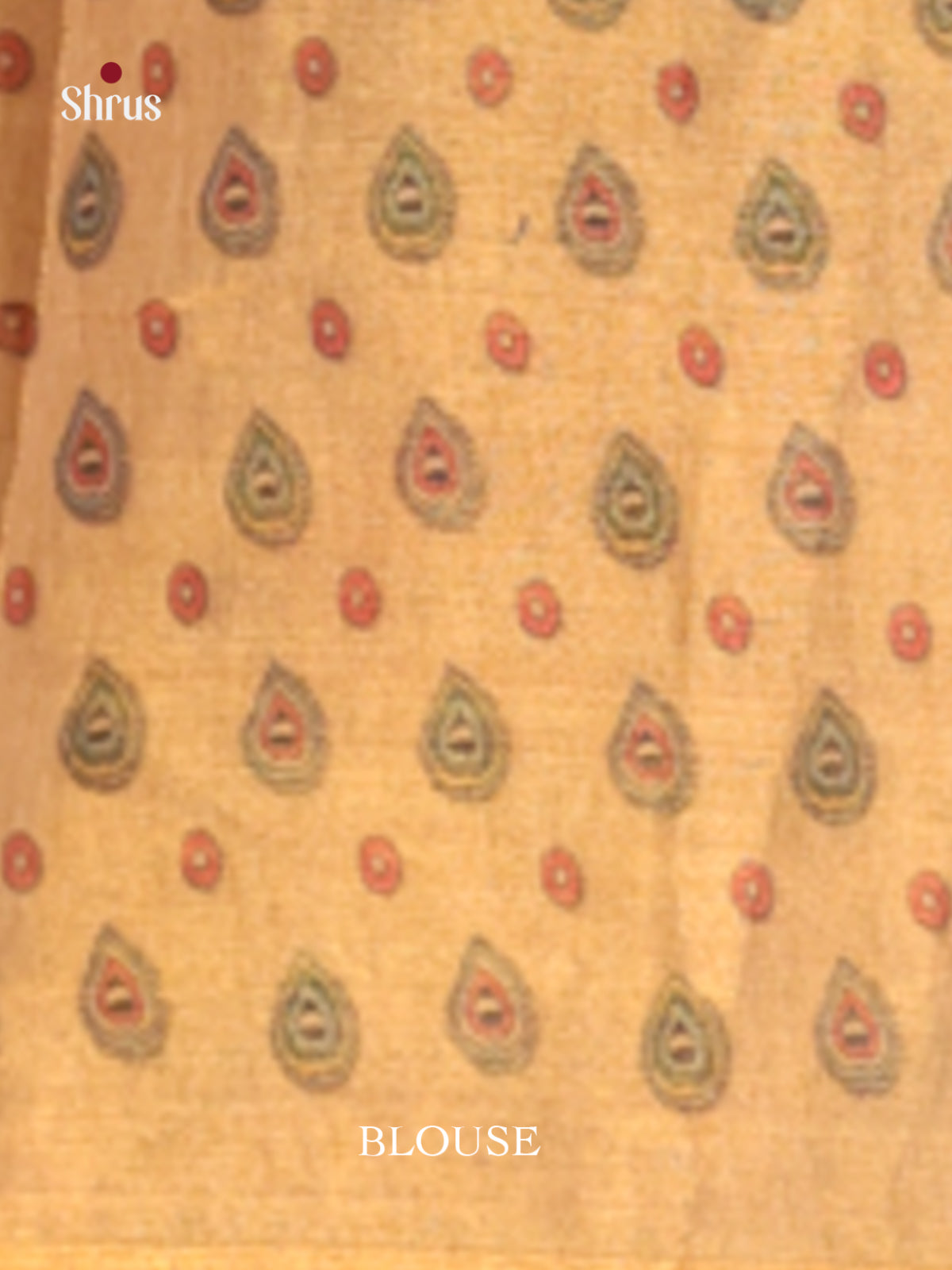 DHS10138 - Semi Tissue Print Saree