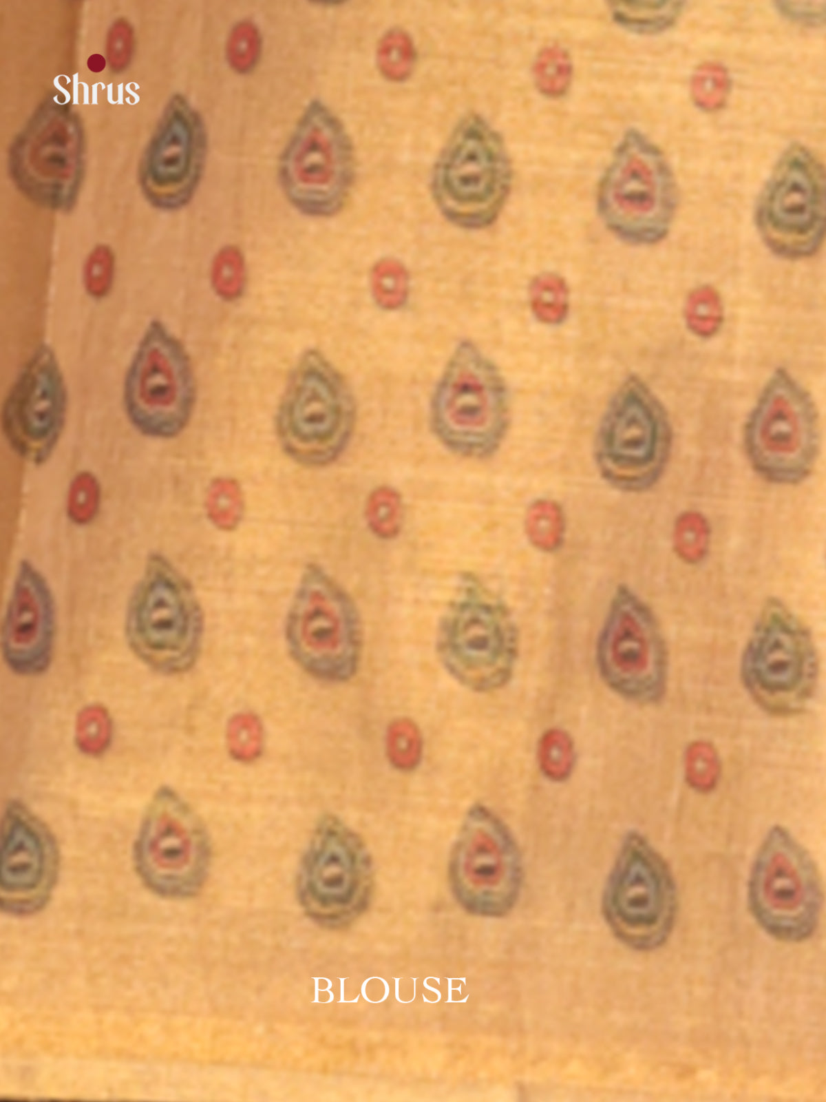 DHS10139 - Semi Tissue Print Saree