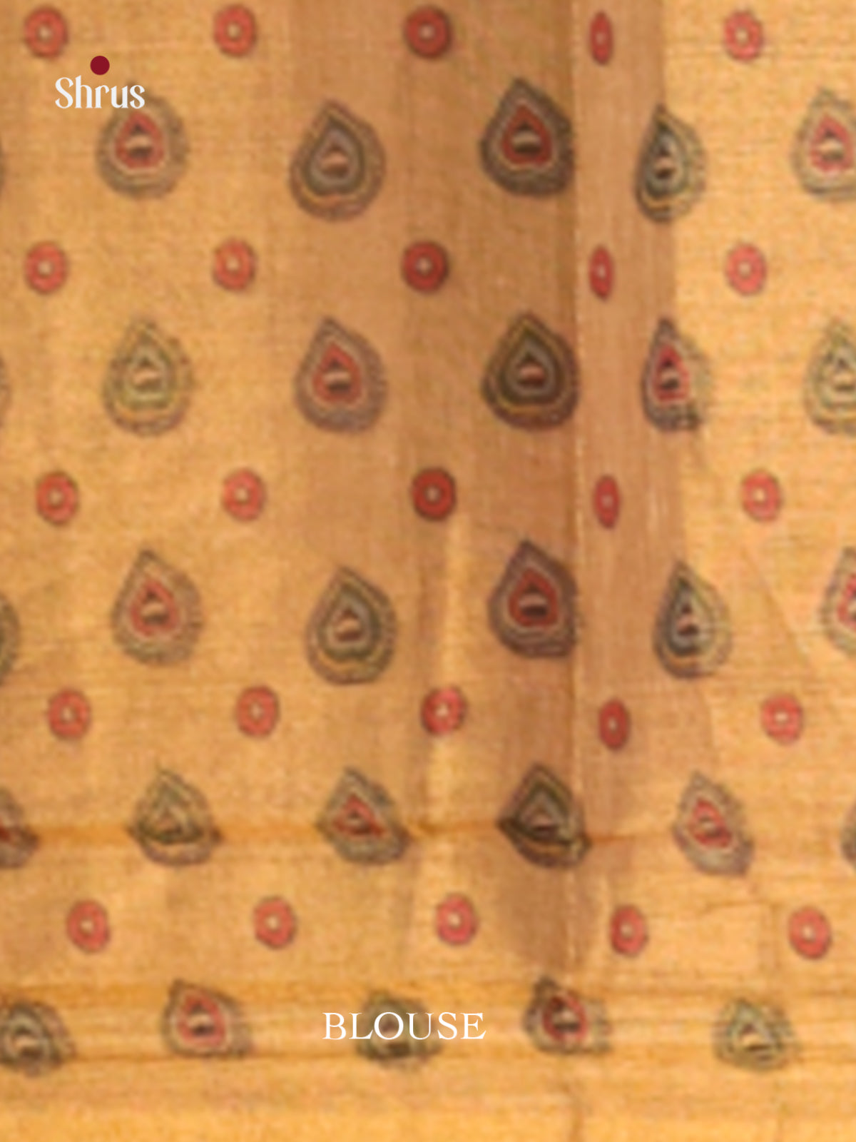 DHS10140 - Semi Tissue Print Saree