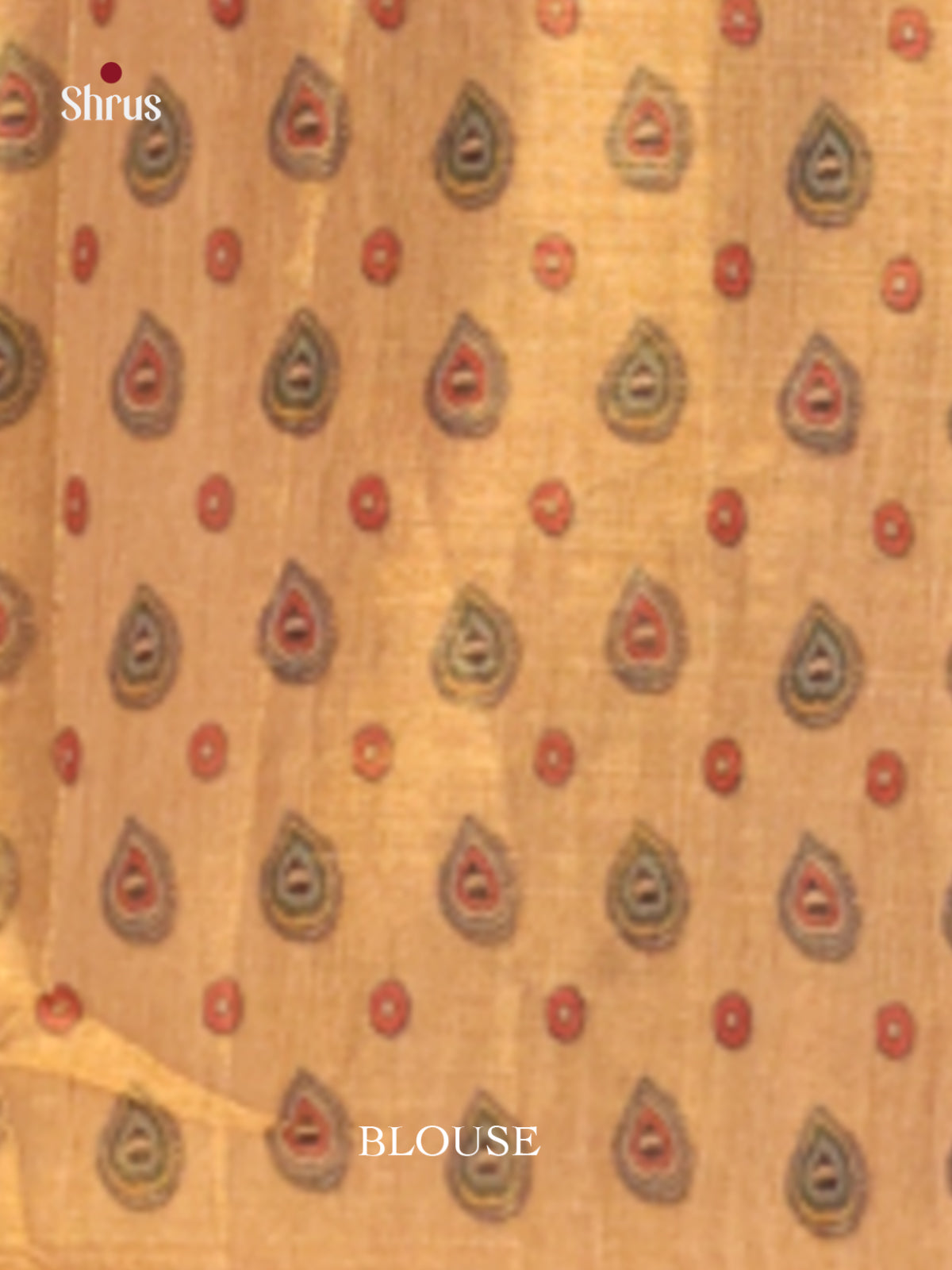 DHS10141 - Semi Tissue Print Saree