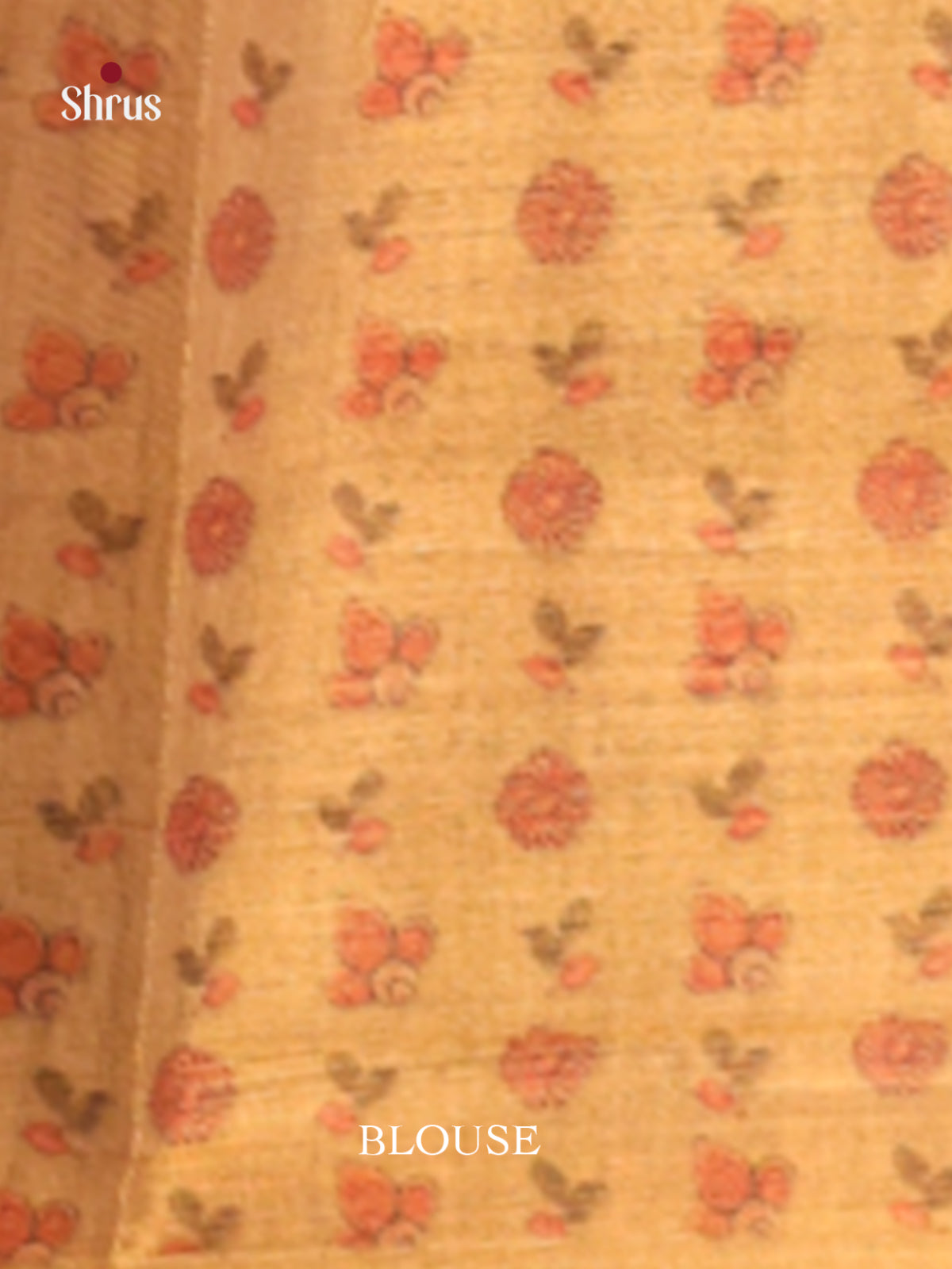 DHS10148 - Semi Tissue Print Saree