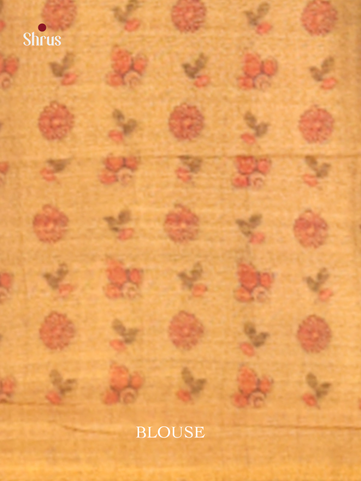 DHS10149 - Semi Tissue Print Saree