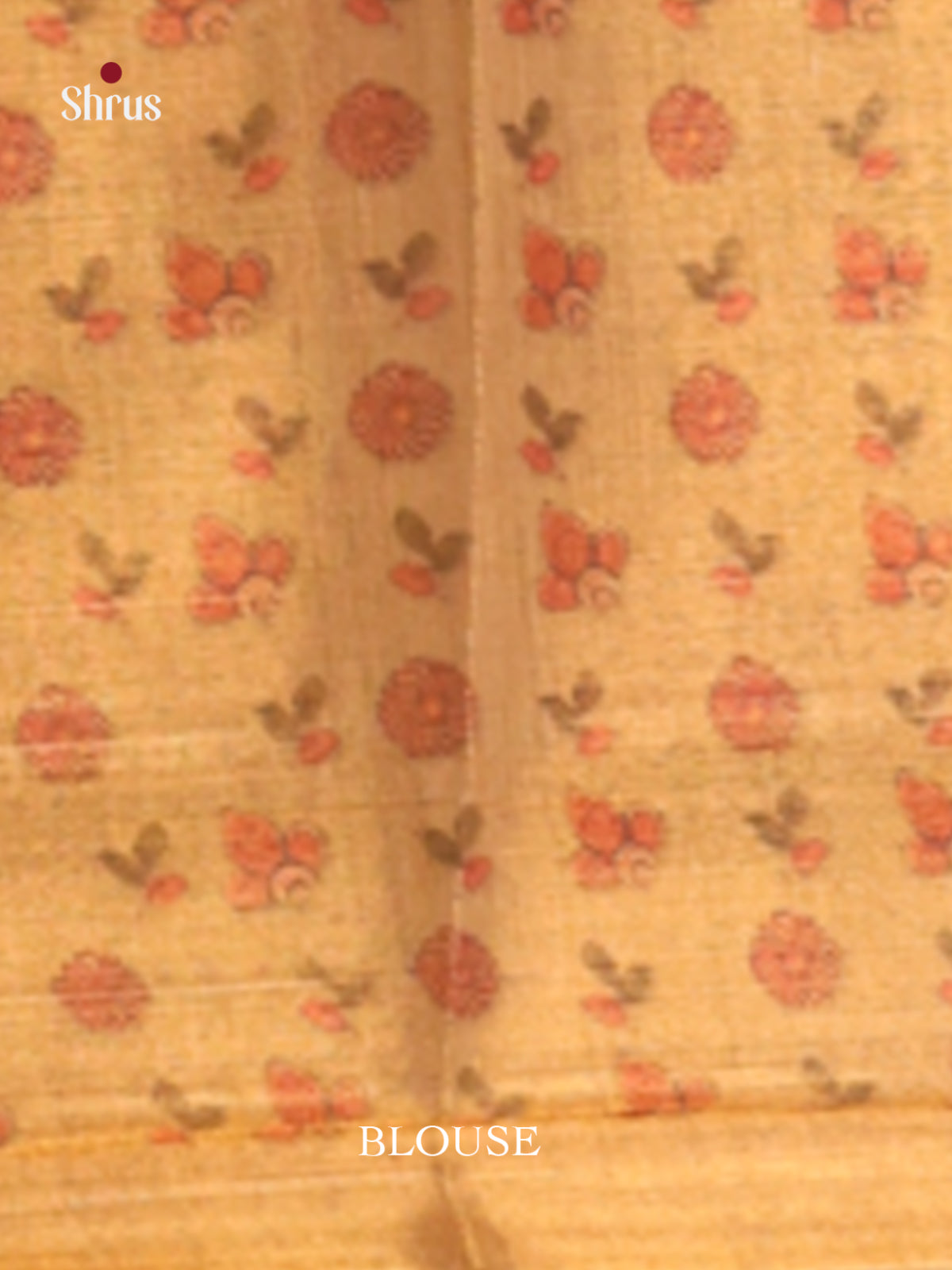 DHS10151 - Semi Tissue Print Saree