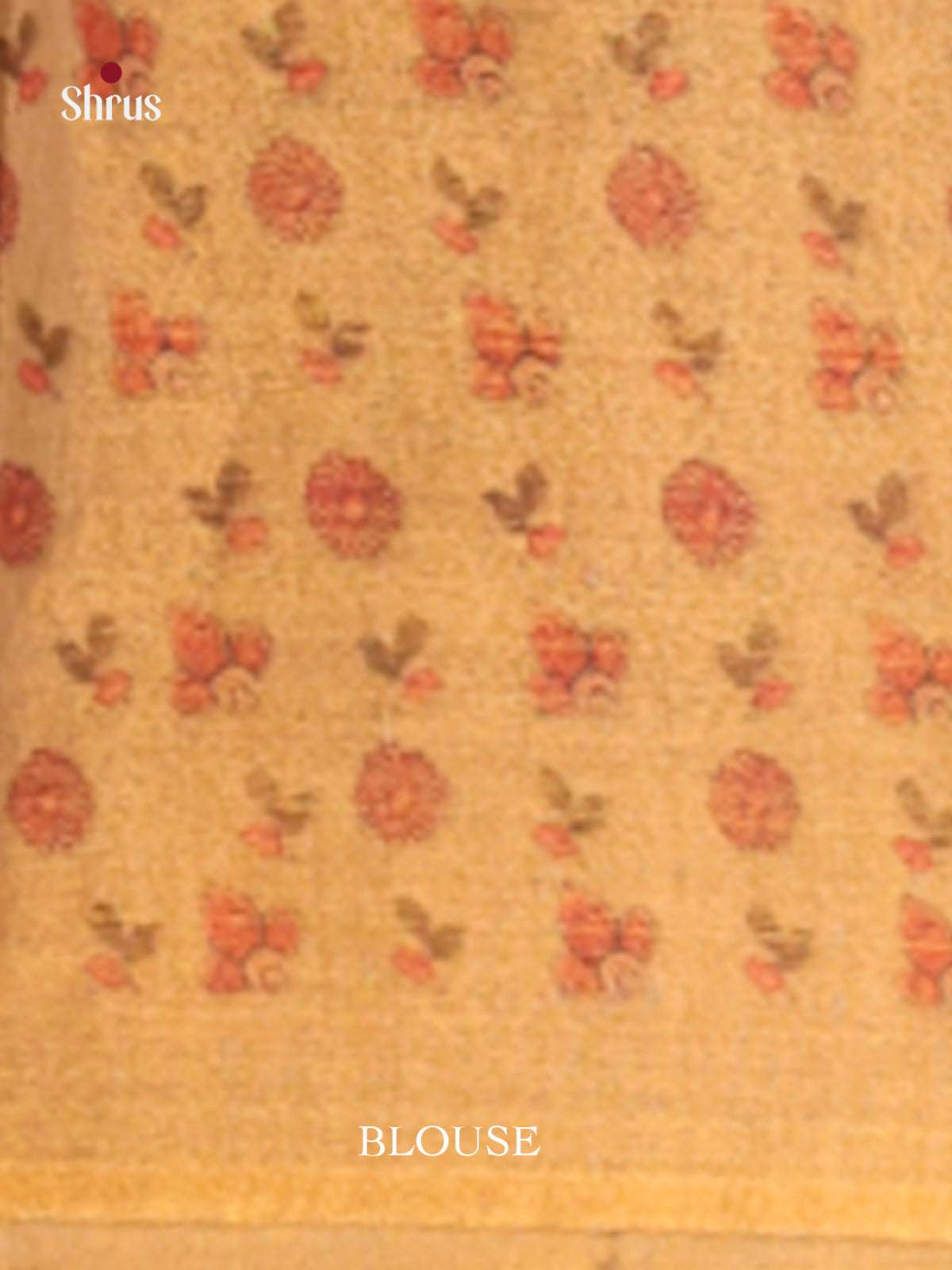 DHS10152 - Semi Tissue Print Saree