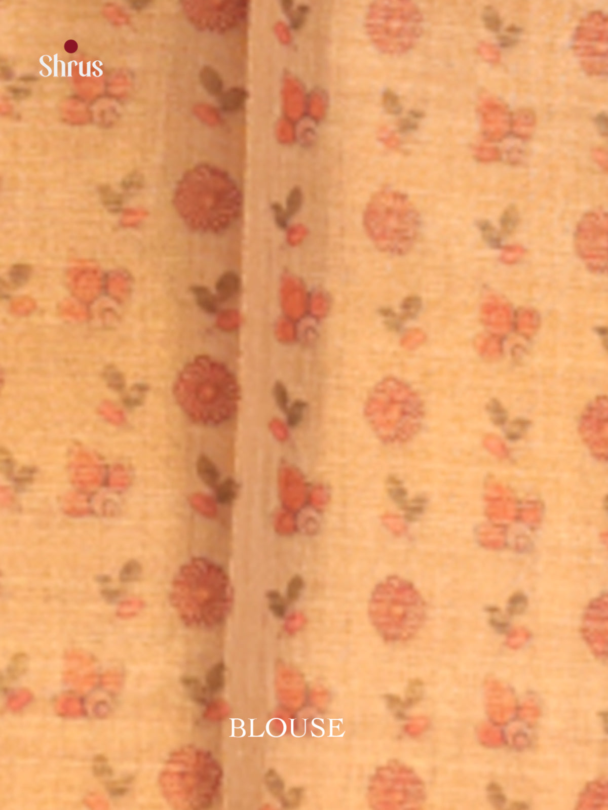 DHS10153 - Semi Tissue Print Saree