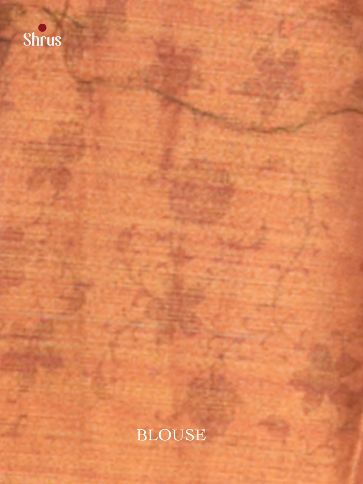 DHS10156 - Semi Tissue Print Saree