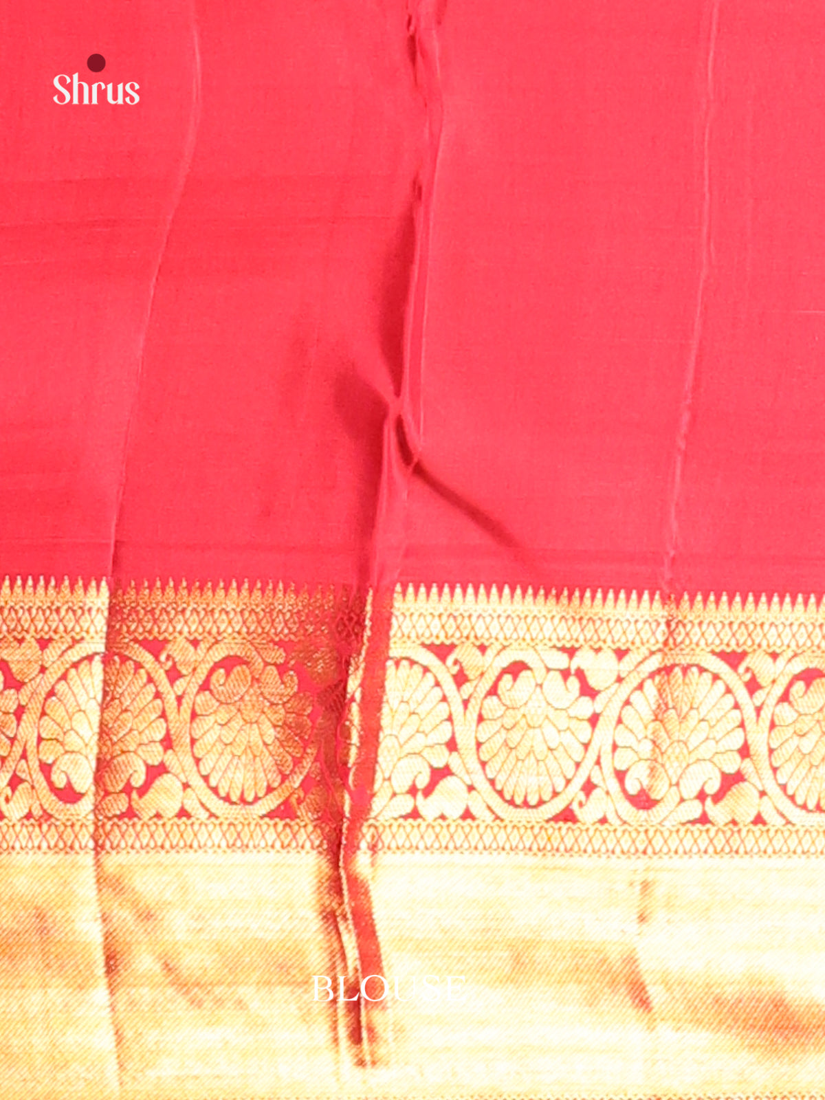 Serene Blue Kanjivaram Silk Saree with zari floral motifs & Red Zari Brocade Pallu -2