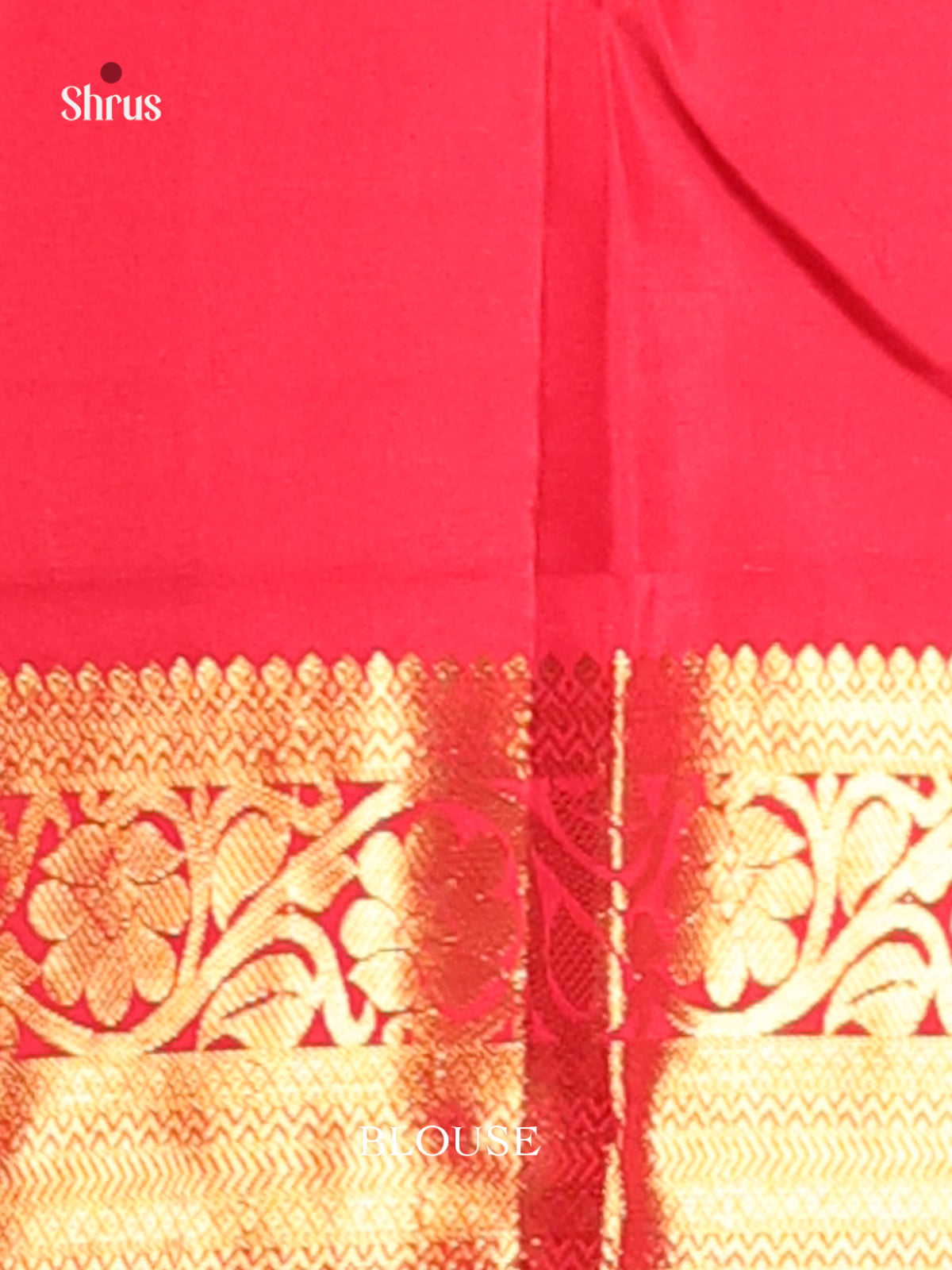 Timeless Blue Kanchipuram Silk Saree  with golden Motifs & Red ZAri Woven Border 2