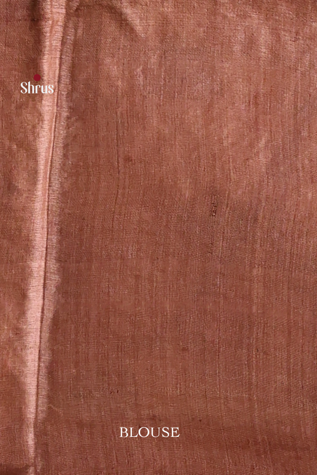 Exquisite Cream & Brown Hand-Painted Tussar Silk Saree - Shop on Shrus.com