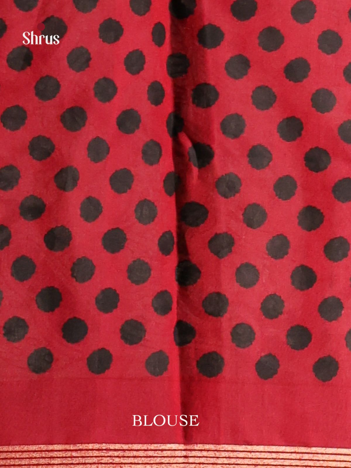 Black & Red - Art Modal Saree