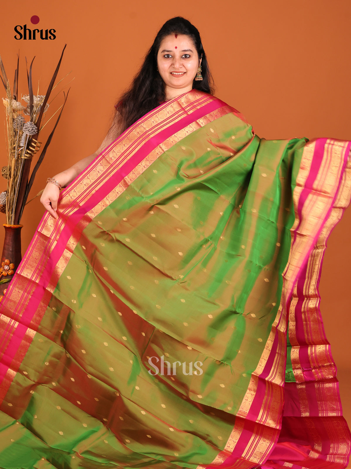 DHS16148 - Kanchipuram-halfpure Saree - Shop on Shrus.com