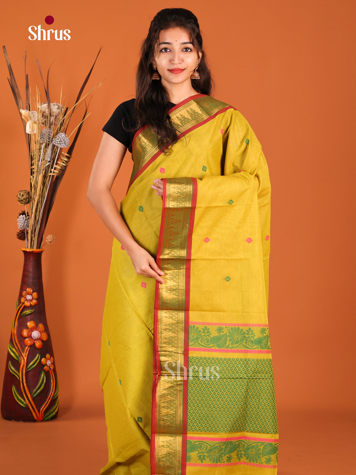 Light Green & Maroon - Chettinad Cotton Saree