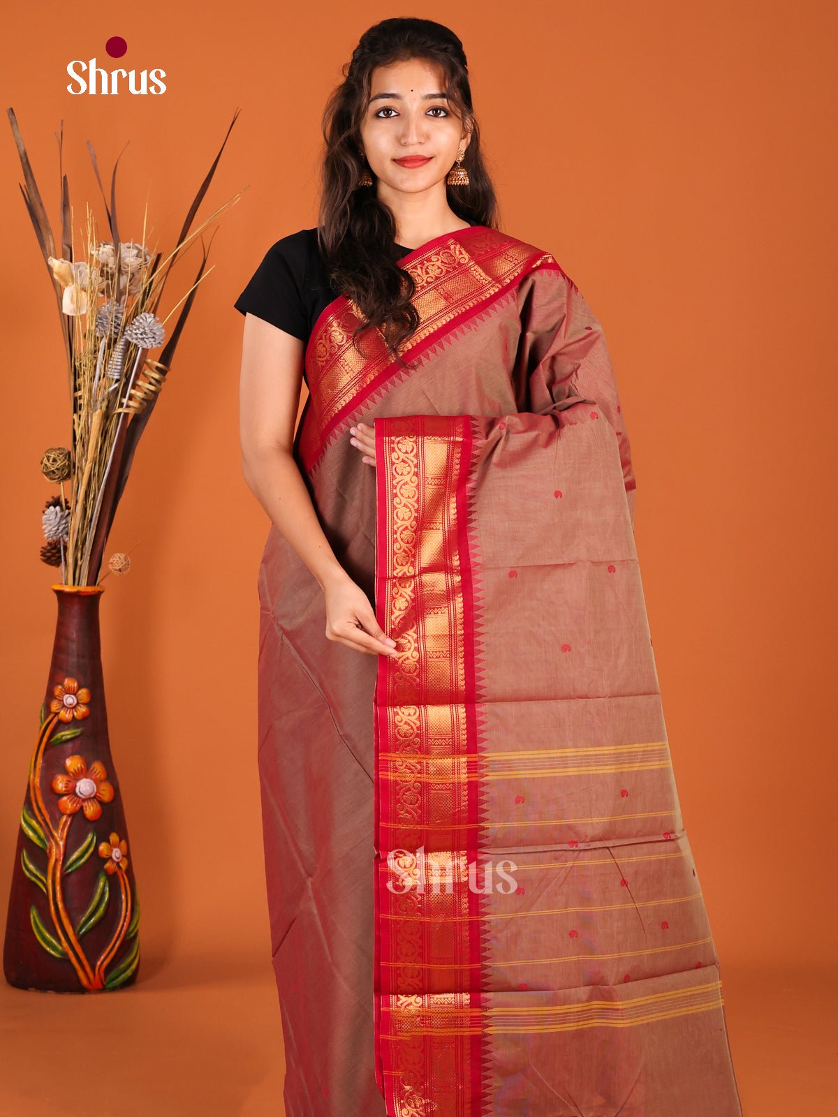 Light Brown & Red - Chettinad Cotton Saree
