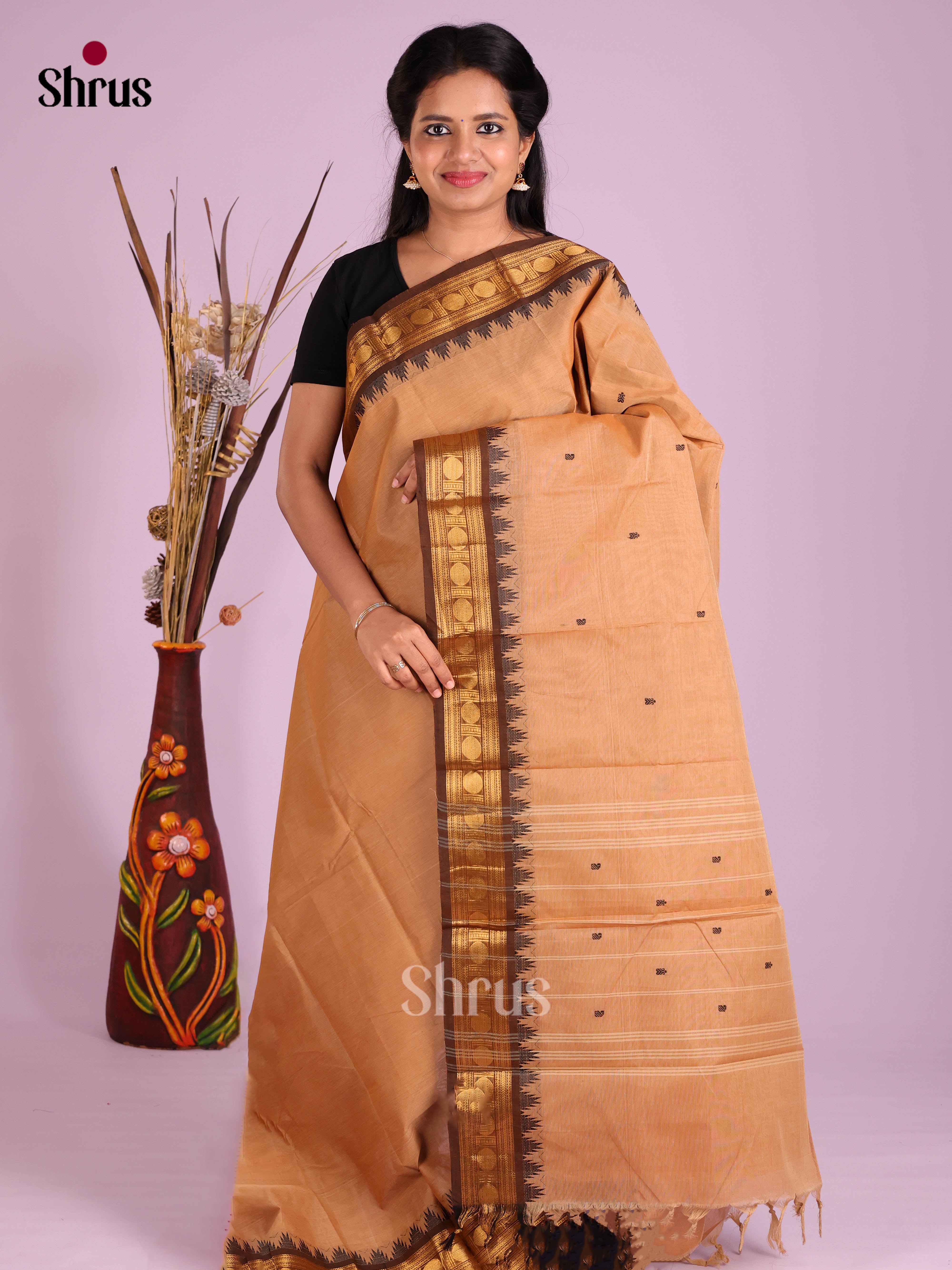 Beige & Brown - Chettinad Cotton Saree