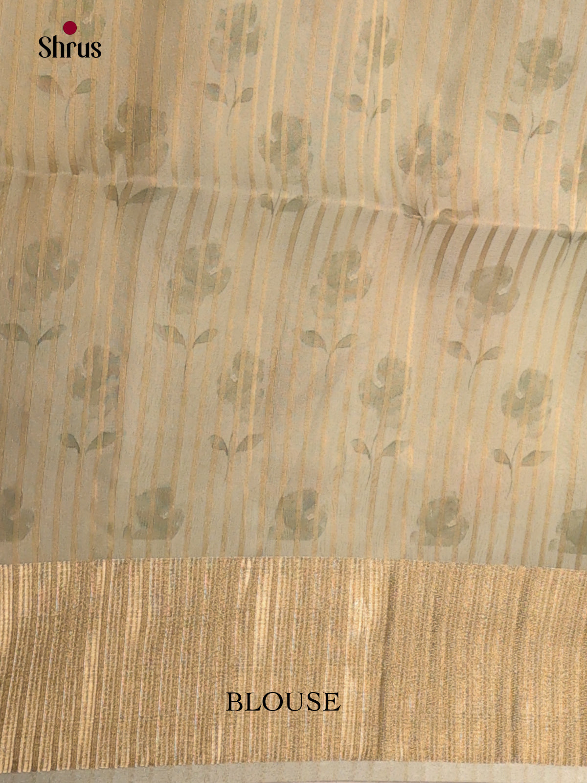Grey Green - Semi Organza Saree - Shop on Shrus.com