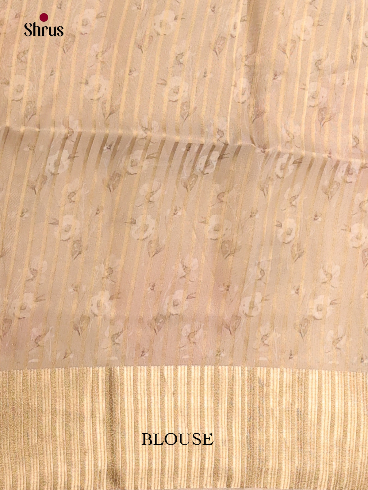 Cream - Semi Organza Saree - Shop on Shrus.com