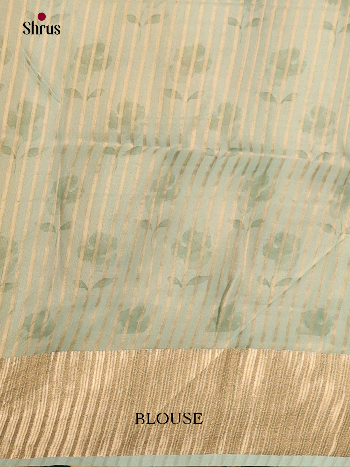 Mild Green - Semi Organza Saree - Shop on Shrus.com