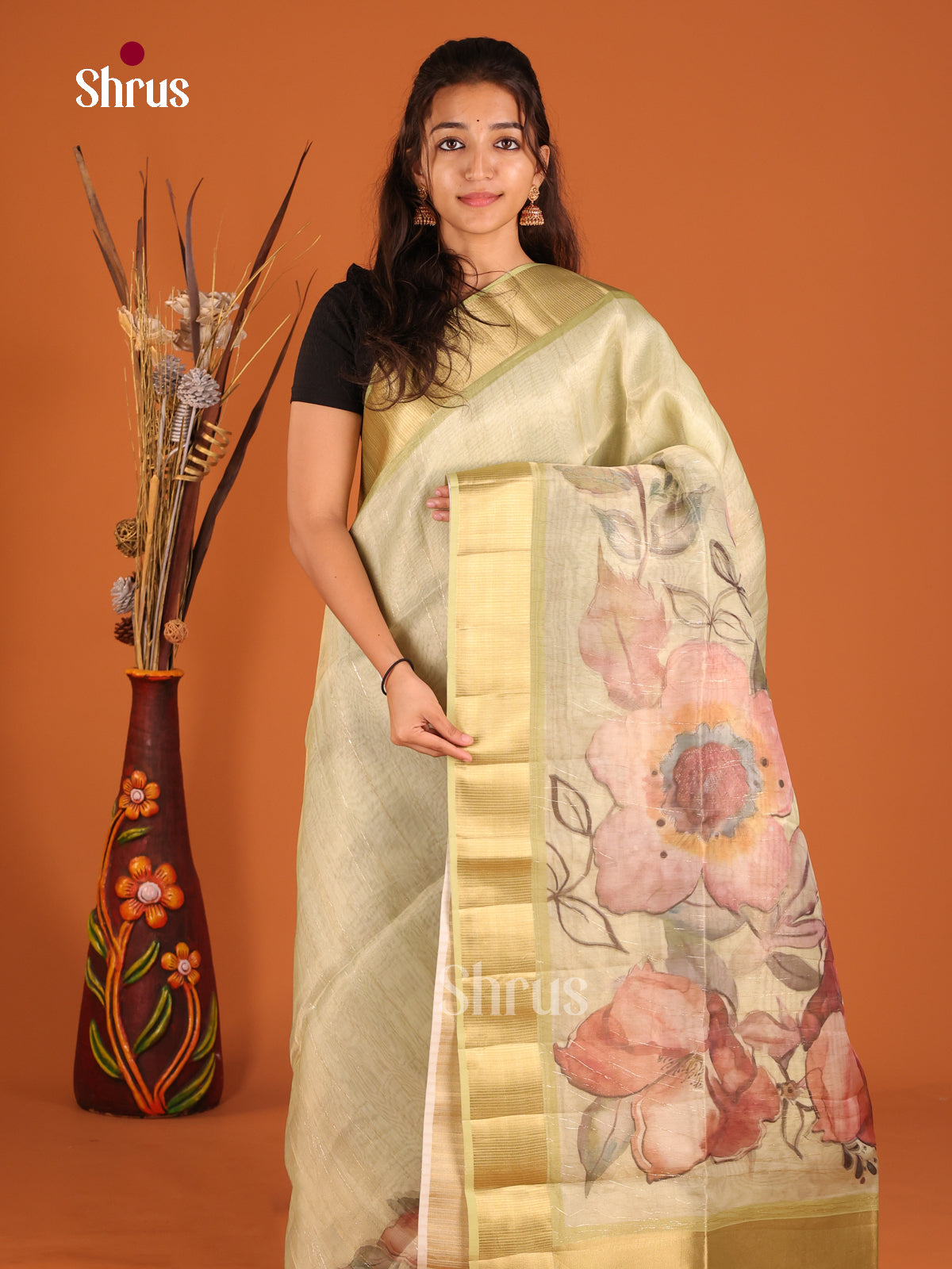 Light Green - Semi Organza Saree - Shop on Shrus.com