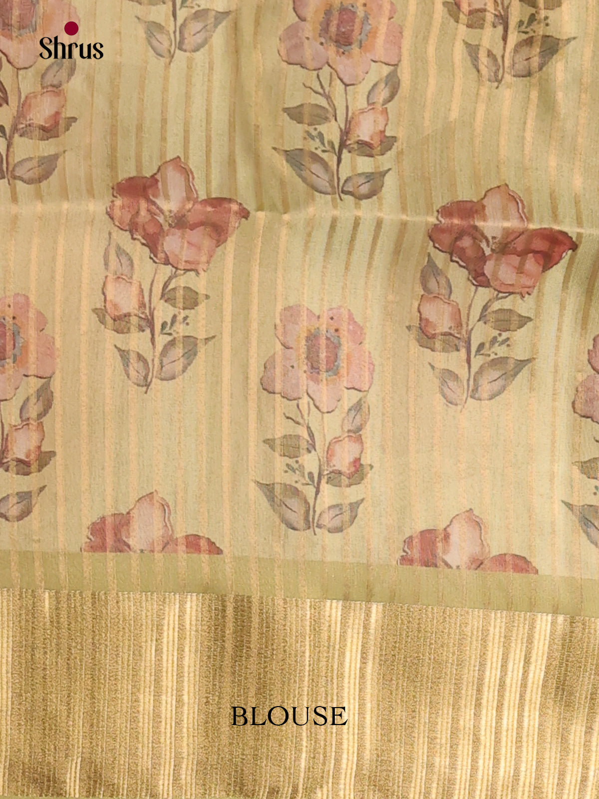 Light Green - Semi Organza Saree - Shop on Shrus.com
