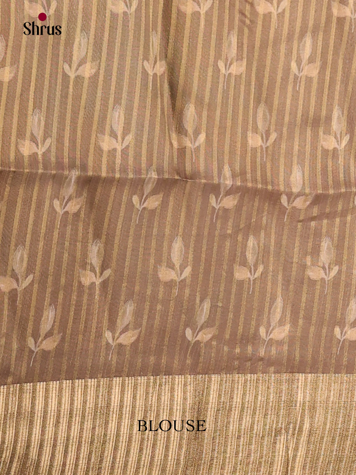 Dusty Brown - Semi Organza Saree
