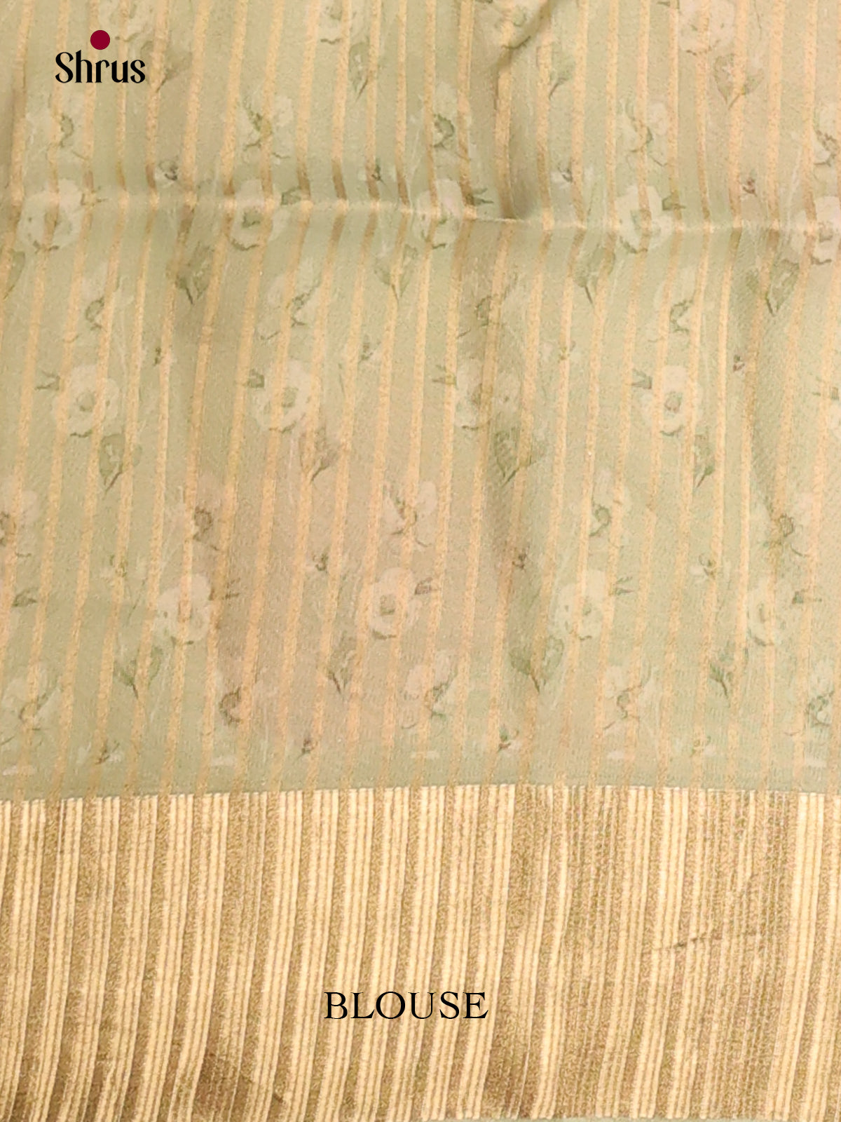 Cream & Light Green - Semi Organza Saree