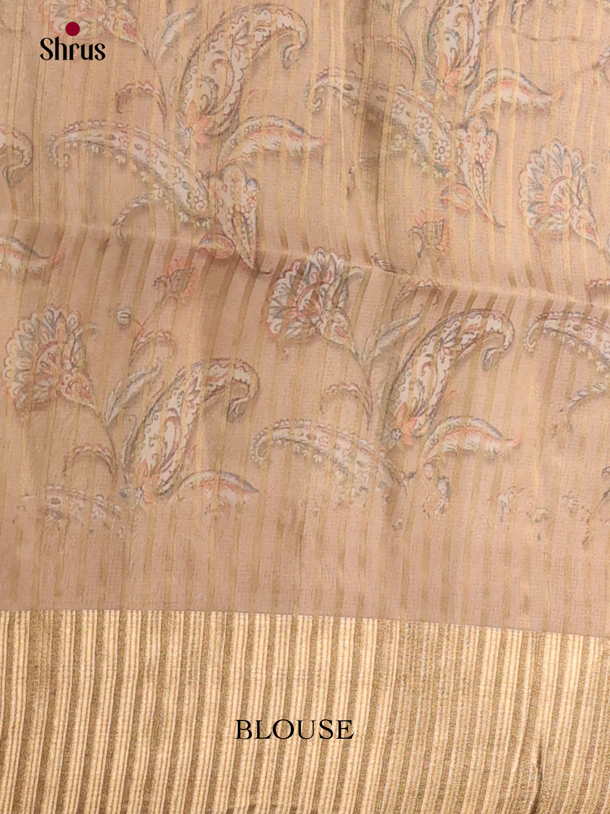 Grey - Semi Organza Saree