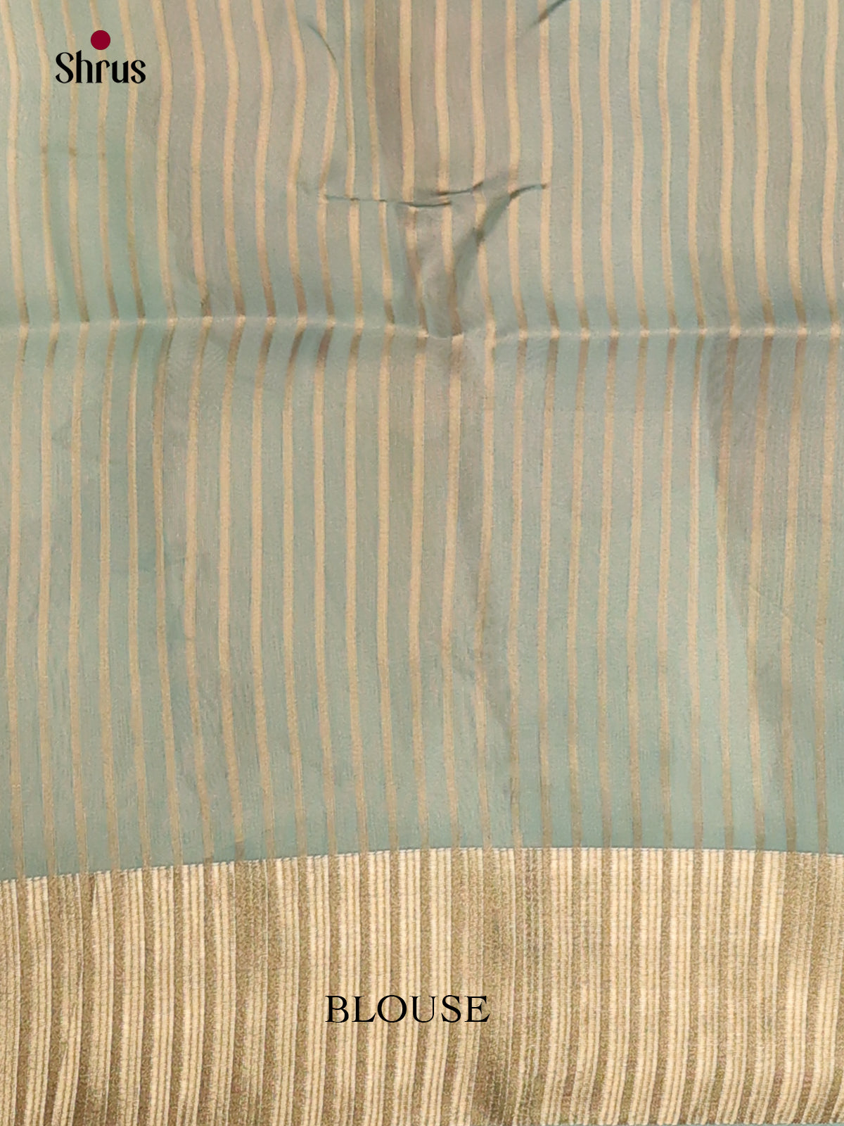 Light Blue - Semi Organza Saree - Shop on Shrus.com